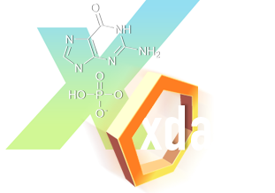 XDA logo